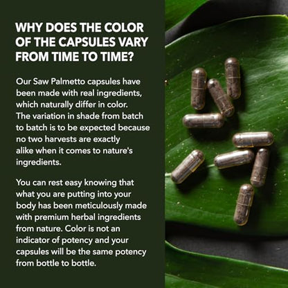 Saw Palmetto for Men Prostate Health Supplement to Promote Urinary Tract Function - 500mg Per Serving - 100 Count - DHT Blocker Hair Vitamin - Vegan, Non-GMO Capsules, Over 3 Month Supply