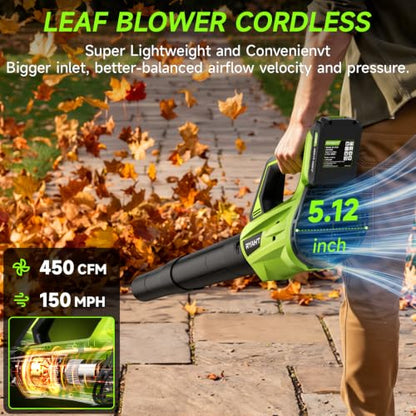 Leaf Blower Cordless, Leaf Blower with Battery and Charger - 2 Speed Modes, 2 Batteries, 20V Powerful Lightweight Electric Blowers for Blowing Leaves, Lawn Care, Patio, Green