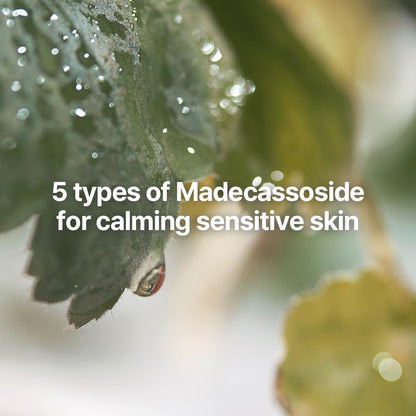 Pyunkang Yul Calming Line Gift Box Set-Korean Facial Skin Care Essential for Daily Moisturizing with Toner, Serum, Cream, Vegan & Cruelty Free Stocking Stuffer Christmas Holiday New Year gift set