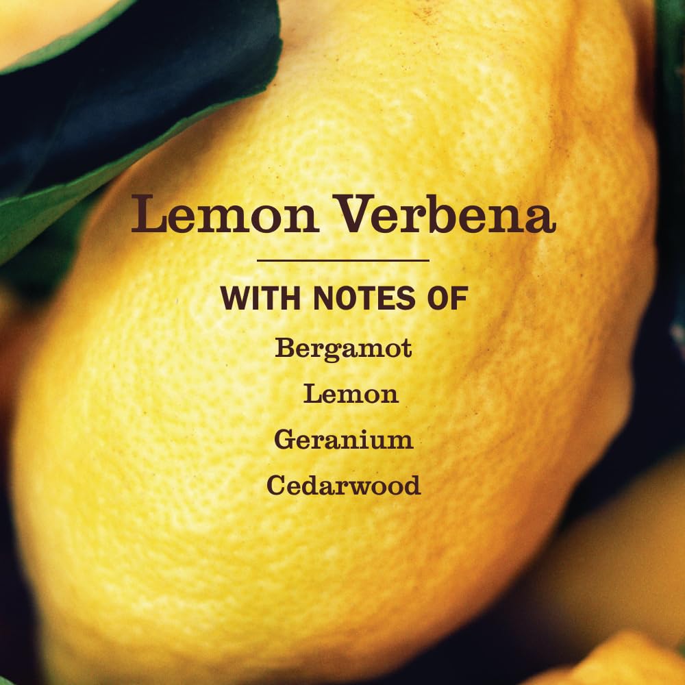 MRS. MEYER'S CLEAN DAY Liquid Dish Soap Refill, Lemon Verbena (48 Fl Oz (Pack of 1))