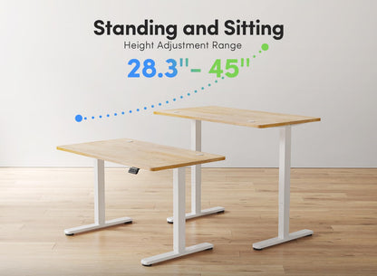 FEZIBO Electric Standing Desk, 48 x 24 Inches Height Adjustable Stand up Desk, Sit Stand Home Office Desk, Computer Desk, Maple