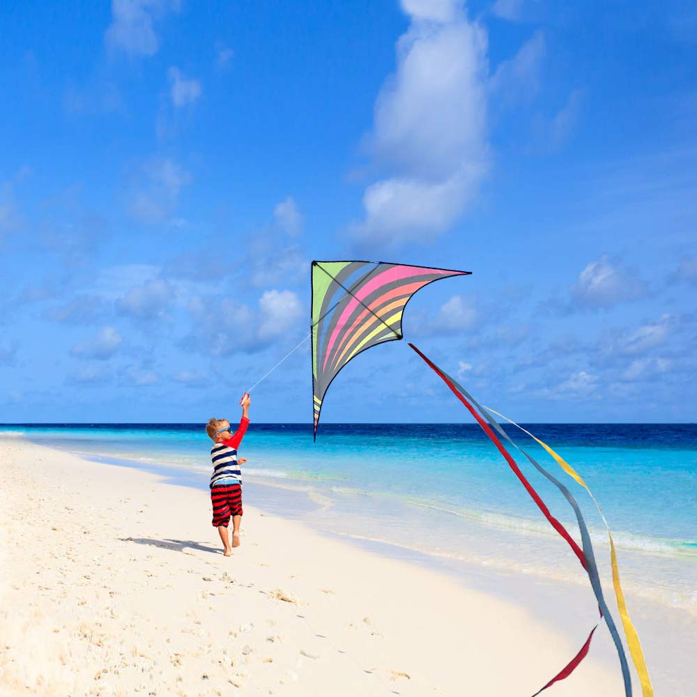 Mint's Colorful Life Delta Kite for Kids & Adults, Extremely Easy to Fly Kites with 3 Ribbons and 300ft Kite String, Best Kites for Beginners (Rainbow)