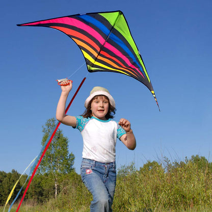 Mint's Colorful Life Delta Kite for Kids & Adults, Extremely Easy to Fly Kites with 3 Ribbons and 300ft Kite String, Best Kites for Beginners (Rainbow)