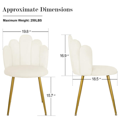 BOWTHY Vanity Chair for Makeup Room - Midcentury Modern Accent Chair for Living Room Bedroom, Makeup Chair with Back Support Velvet Chair with Gold Legs (Cream)
