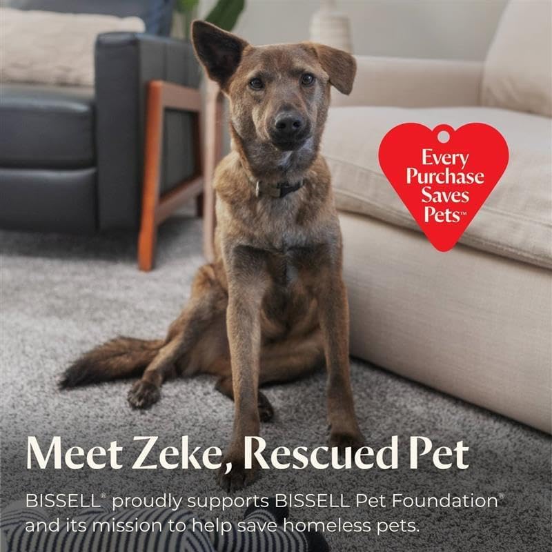 BISSELL® CrossWave® HydroSteam™ Deluxe Wet Dry Vac, Multi-Purpose Vacuum, Wash, and Steam, Formula Included, Green, 3515G