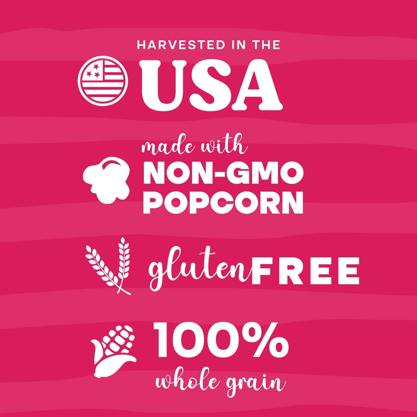 Pop n' Dulge Popcorn Movie Night Supplies 16 pcs Gift Set, 5 Gourmet Popcorn Kernels, 5 Seasoning Variety Packs Non-GMO Kosher Snacks, Great Housewarming Family Date Night Gifts Basket Ideas For Him Her