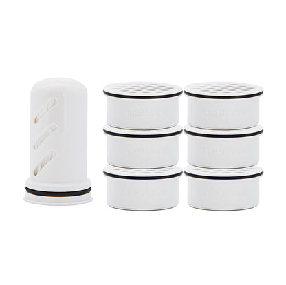 LifeStraw Home – Replacement Filter 1-Year Pack for Protection Against Bacteria, parasites, microplastics, PFAS and 30+ contaminants