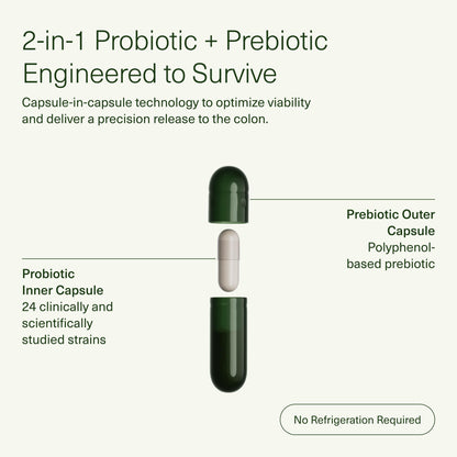Seed DS-01 Daily Synbiotic - Prebiotic and Probiotic for Women & Men - Digestive Health, Gut Health, Immune Support, Bloating & Constipation Relief - Vegan & Shelf-Stable - 60 Capsules (30-Day Supply)
