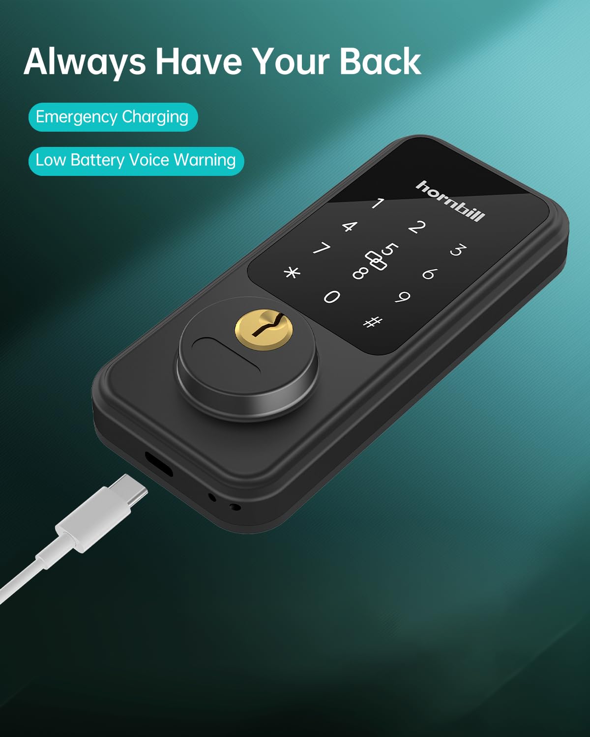 Keyless Entry Door Lock with Handle, Hornbill Smart Front Door Lock Set, Electronic Keypad Deadbolt Lock, Alexa Front Door Handle Set, Digital Lock via Bluetooth APP/Keyfob/Auto Lock-Matte Black