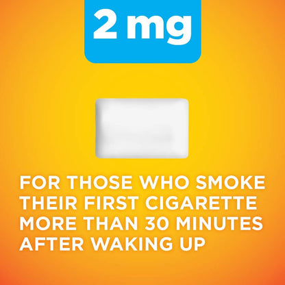 Amazon Basic Care Coated Nicotine Polacrilex Gum, 2 mg, Fruit Flavor, Stop Smoking Aid, Reduces Cravings, Smoking Cessation, 160 Count