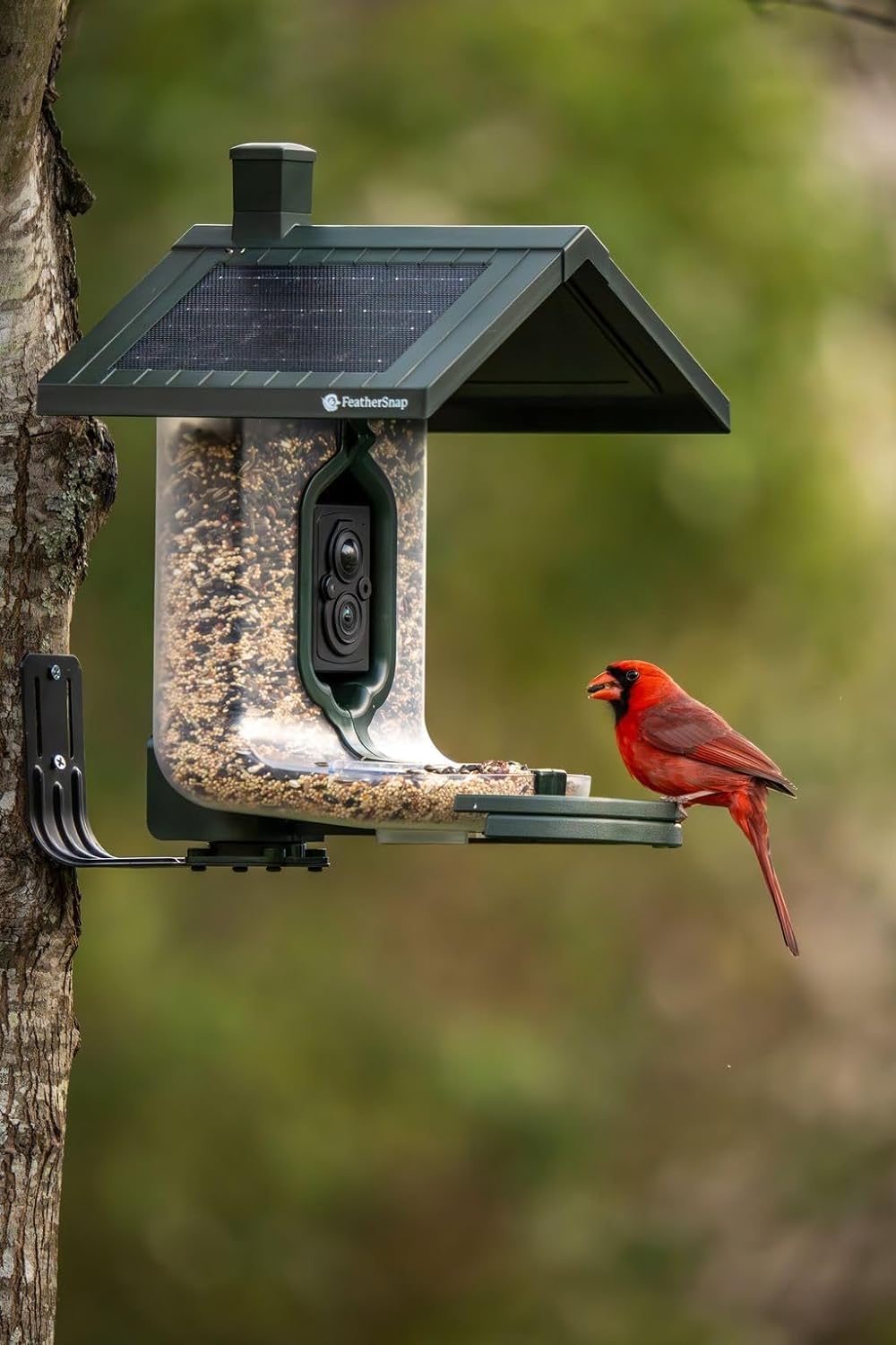 FeatherSnap Scout Wi-Fi Solar Powered Smart Bird Feeder - Automatically Captures HD Pictures and Videos! Best Gift for Bird Watchers! Dual Seed Chamber - Feather Snap