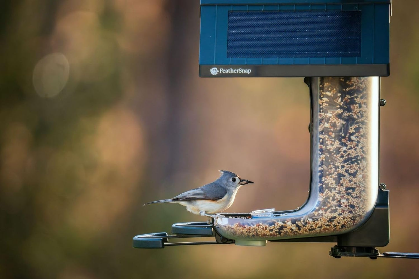 FeatherSnap Scout Wi-Fi Solar Powered Smart Bird Feeder - Automatically Captures HD Pictures and Videos! Best Gift for Bird Watchers! Dual Seed Chamber - Feather Snap