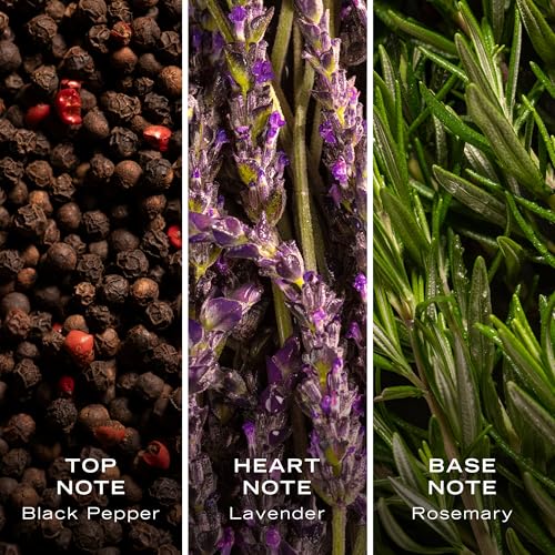 Nautica Color Red 1.6 fl oz EDT + 5.9 oz Deodorizing Body Spray, Aromatic Fougere, Notes of Black Pepper, Lavender and Rosemary, Men's Fragrance, Long Lasting, Everyday Fragrance