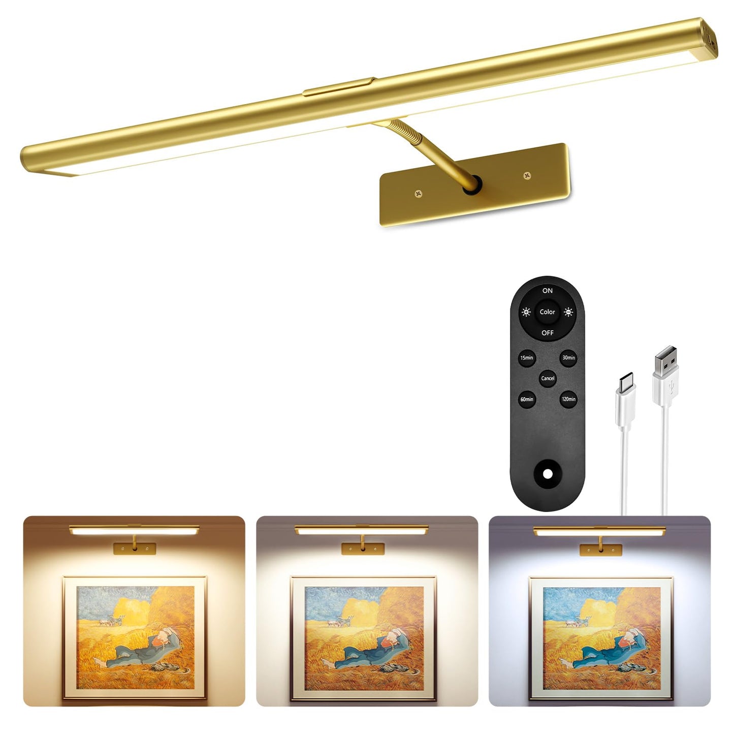 EZVALO Picture Light for Wall, 16'' Rechargeable 4800mAh Battery Lights Wireless Remote, Dimmable Magnetic LED Art Painting Light with 3 Color Temperatures, Display for Gallery, Living Room, Hallway