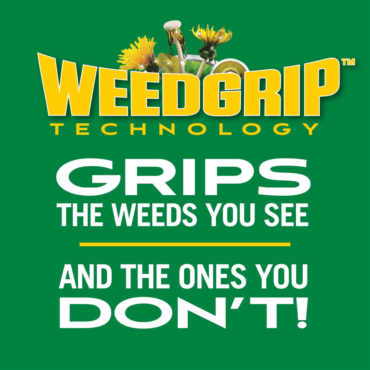 Scotts Turf Builder Weed and Feed3 - Weed Killer Plus Lawn Fertilizer, Controls Dandelion and Clover, Grass Fertilizer For Up To 15,000 sq. ft., 42.87 lbs.