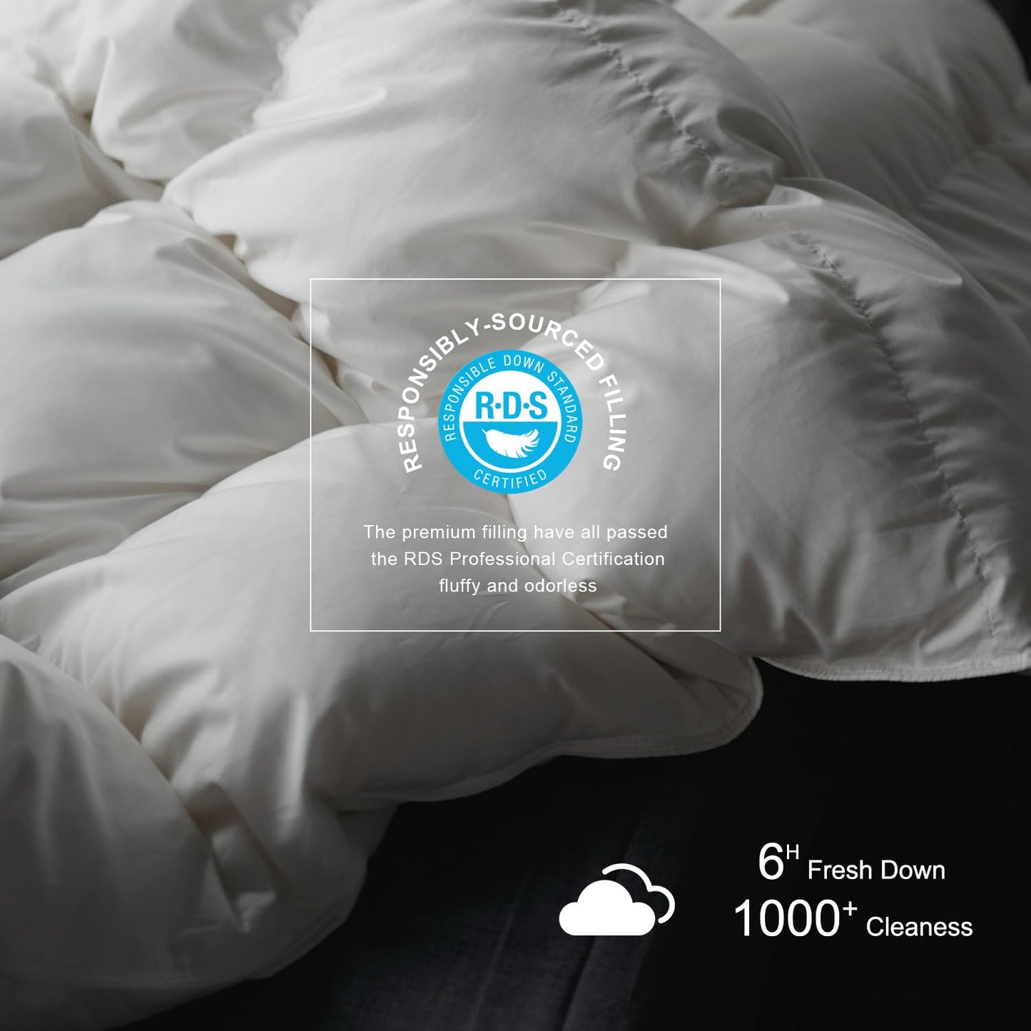 Royoliving Premium Feathers Down Duvet Insert Comforter Queen Size All Season Medium Warmth White 100% Cotton Cover with Corner Tabs (90x90, 50 oz)