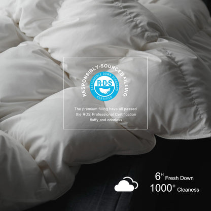 Royoliving Premium Feathers Down Duvet Insert Comforter Queen Size All Season Medium Warmth White 100% Cotton Cover with Corner Tabs (90x90, 50 oz)