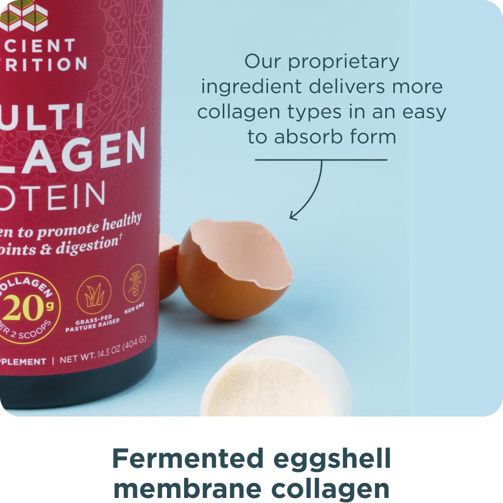 Ancient Nutrition Collagen Powder Protein with Probiotics, Unflavored Multi Collagen Protein with Vitamin C, 45 Servings, Hydrolyzed Collagen Peptides Supports Skin and Nails, Gut Health, 16oz