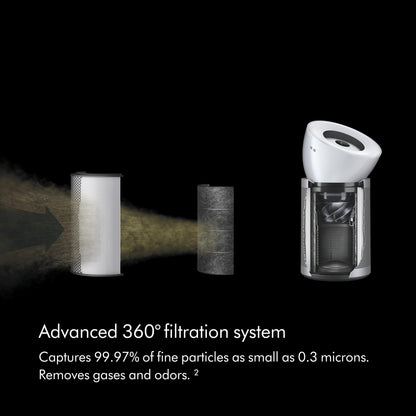Dyson HEPA Big+Quiet Formaldehyde BP06