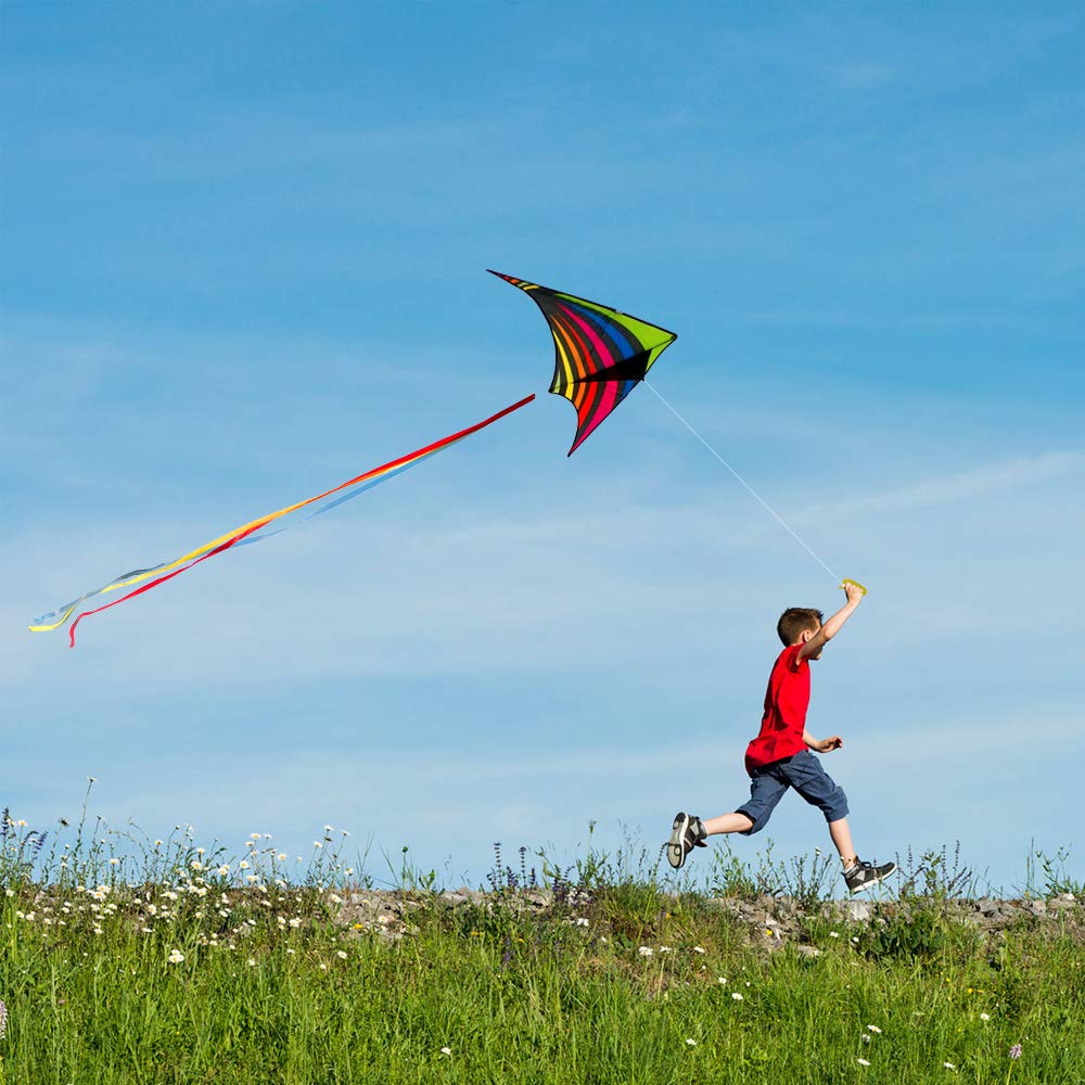 Mint's Colorful Life Delta Kite for Kids & Adults, Extremely Easy to Fly Kites with 3 Ribbons and 300ft Kite String, Best Kites for Beginners (Rainbow)