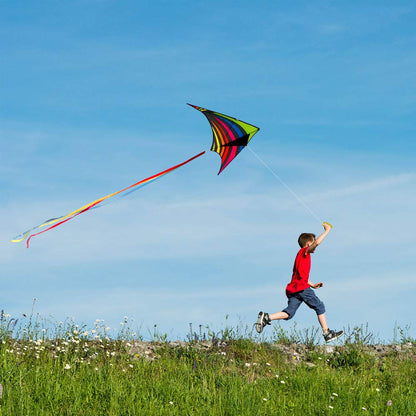 Mint's Colorful Life Delta Kite for Kids & Adults, Extremely Easy to Fly Kites with 3 Ribbons and 300ft Kite String, Best Kites for Beginners (Rainbow)