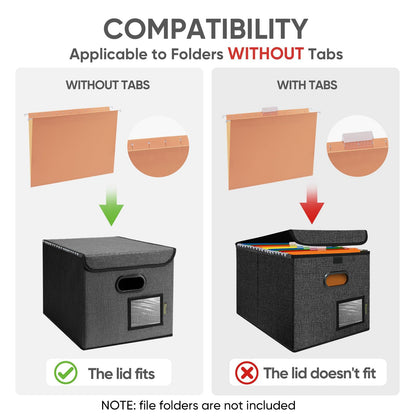 BALEINE File Organizer Box with Lid, Collapsible File Folder Organizer with Plastic Slide, Hanging File Folder Box for Office Document Storage (1 Pack, Black)