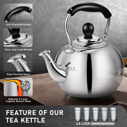 Dclobtop Whistling Tea Kettle Stovetop - 2.5 Quart Round Tea Kettle Stovetop, Silver Mirror Polished Classic Stovetop Kettle, Food Grade Material Kettle Teapot for Stove Top,Tea Pot