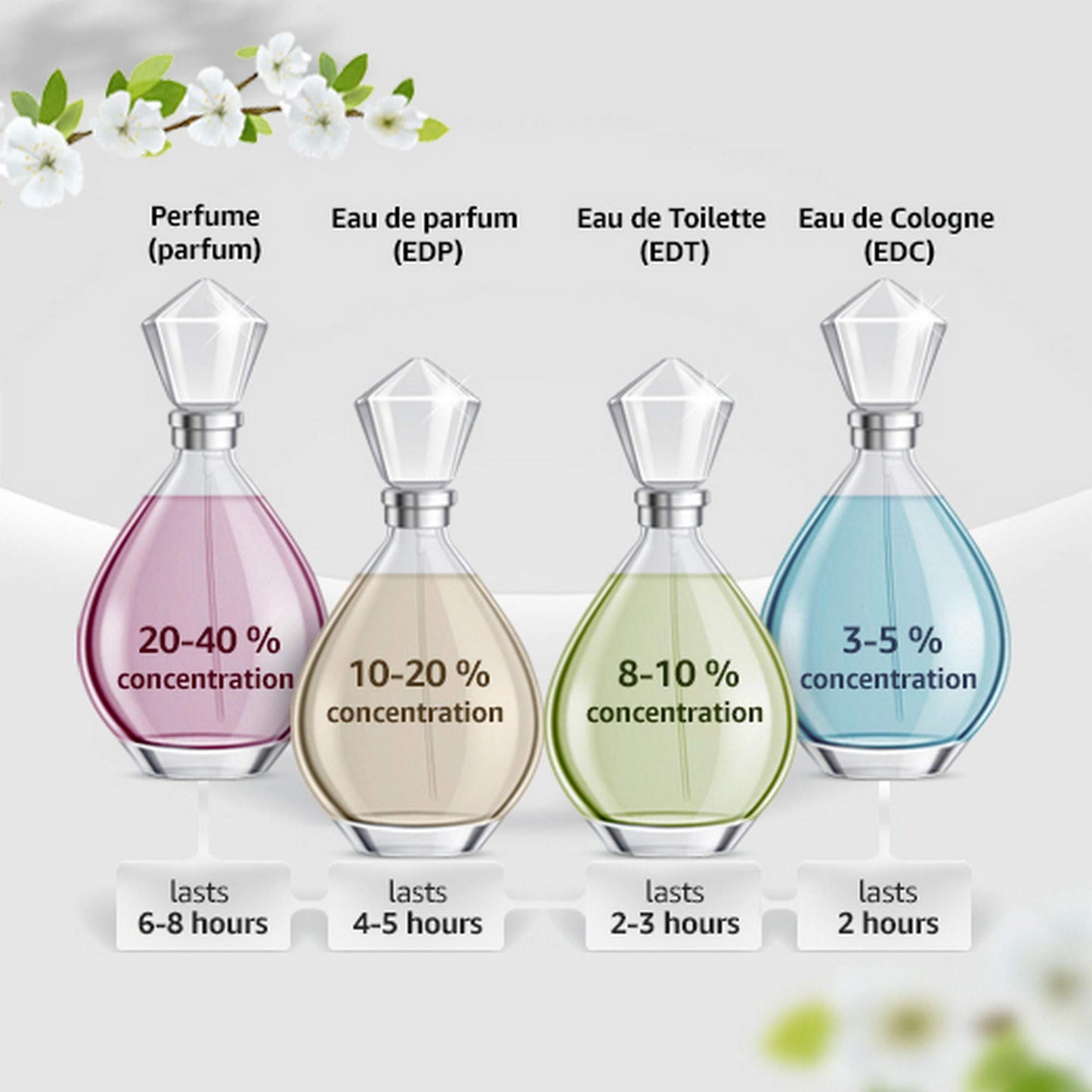 Salvatore Ferragamo F Free Time Eau De Toilette Spray for Men, 3.4 Ounce