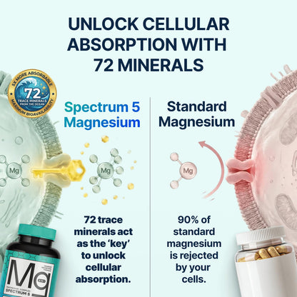 Spectrum 5 Magnesium | 5-in-1 Complex + 72 Trace Minerals for Enhanced Absorption | Irish Sea Sourced | 500mg per Serving | Made in USA, Third Party Tested, GMP Certified
