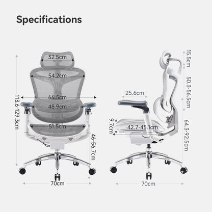 SIHOO Doro C300 Pro Ergonomic Office Chair with Ultra-Soft 6D Armrests, Dynamic Lumbar Support, Seat Depth Adjustment, Adjustable Backrest, Big and Tall Desk Chair for Home Office (Grey)