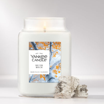 Yankee Candle Large Jar Scented Candle with up to 150 Hour Burn Time, Premium Plant Wax Blend for Consistent Burn, 22 oz Jar Candle with Room Filling Fragrance, Silver Birch