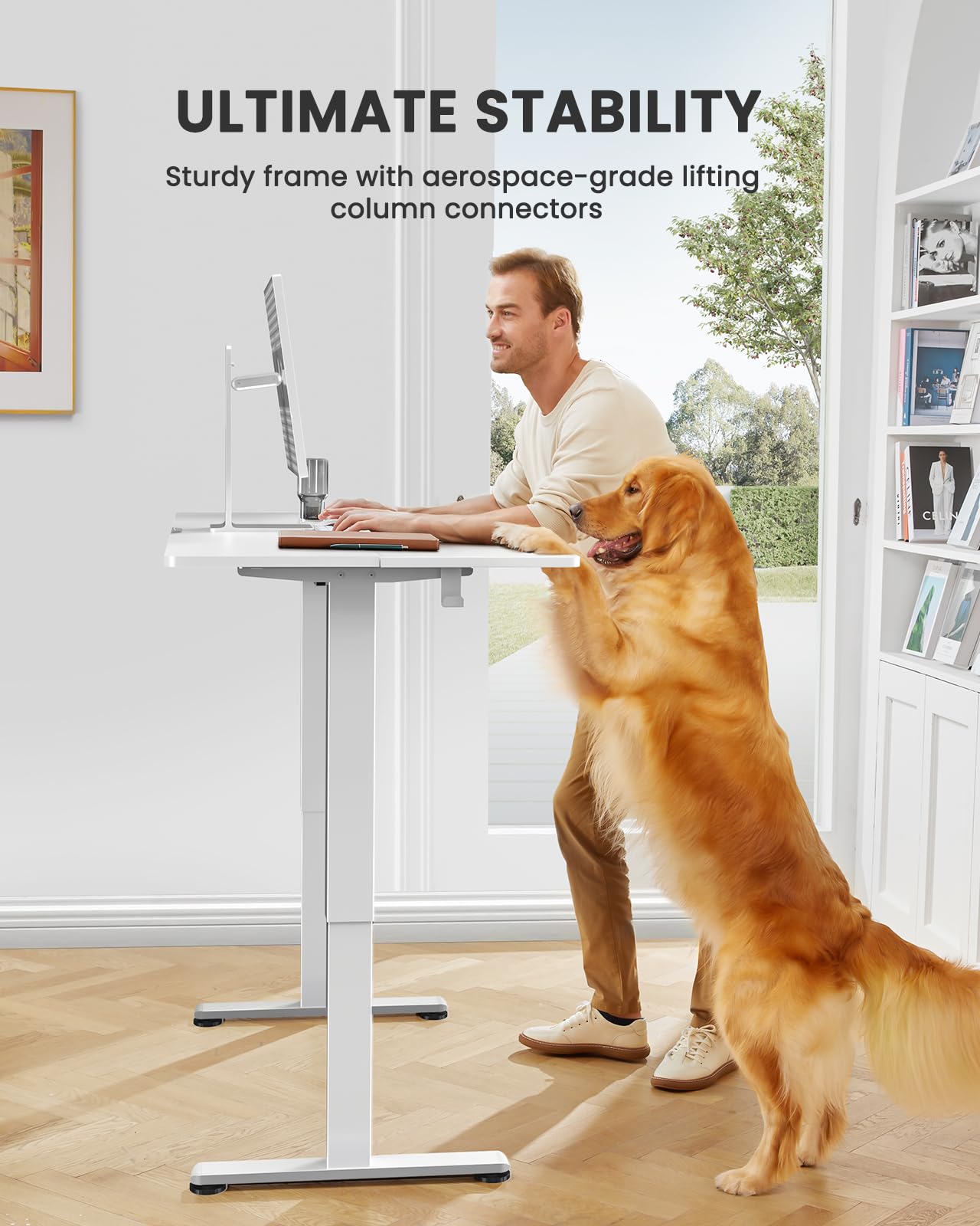 ErGear Height Adjustable Electric Standing Desk, 40 x 24 Inches Sit Stand up Desk, Memory Computer Home Office Desk (White)