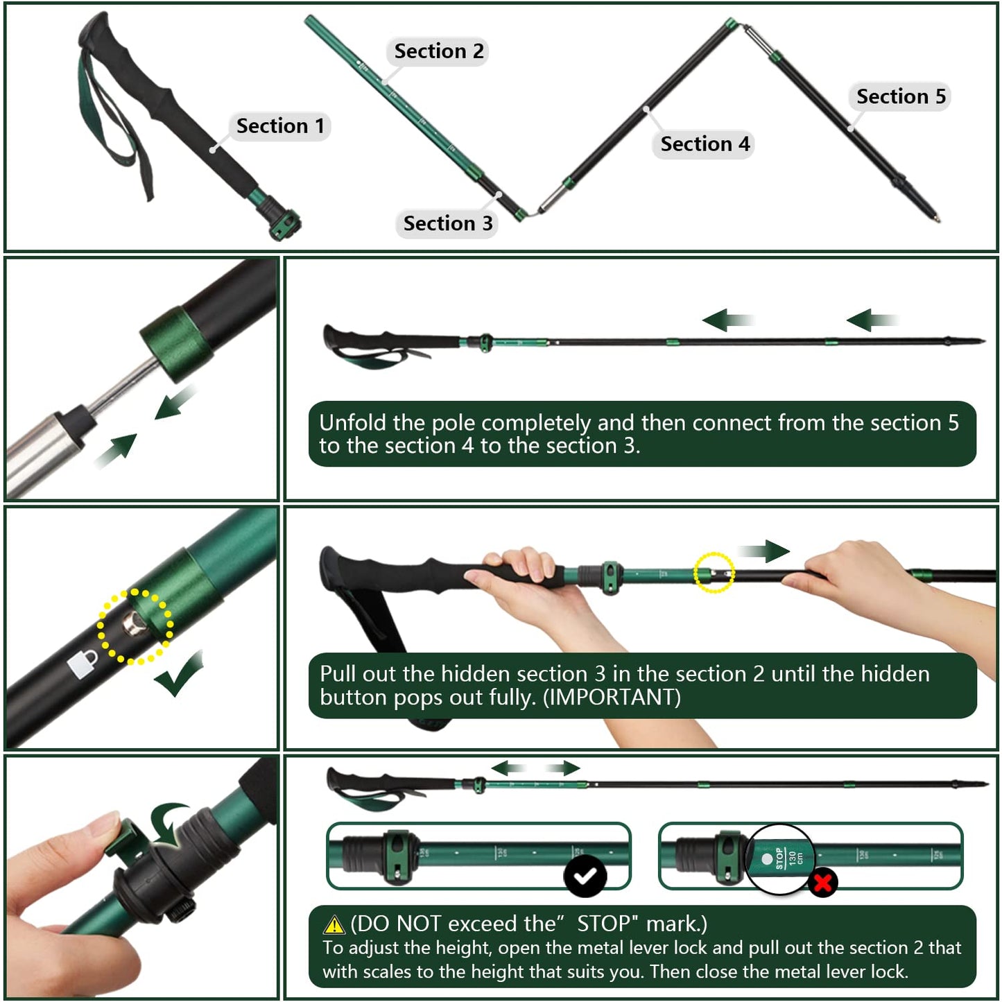 TheFitLife Collapsible Trekking Poles for Hiking – Lightweight Folding Walking Sticks for Men and Women with Extra-Long Foam Handle and Metal Flip Lock (Green, 100-120cm for 4'11''-5'7'' Height)