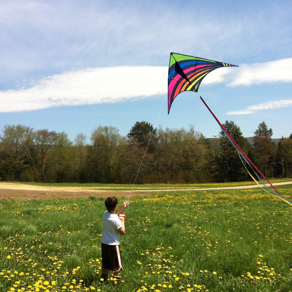 Mint's Colorful Life Delta Kite for Kids & Adults, Extremely Easy to Fly Kites with 3 Ribbons and 300ft Kite String, Best Kites for Beginners (Rainbow)