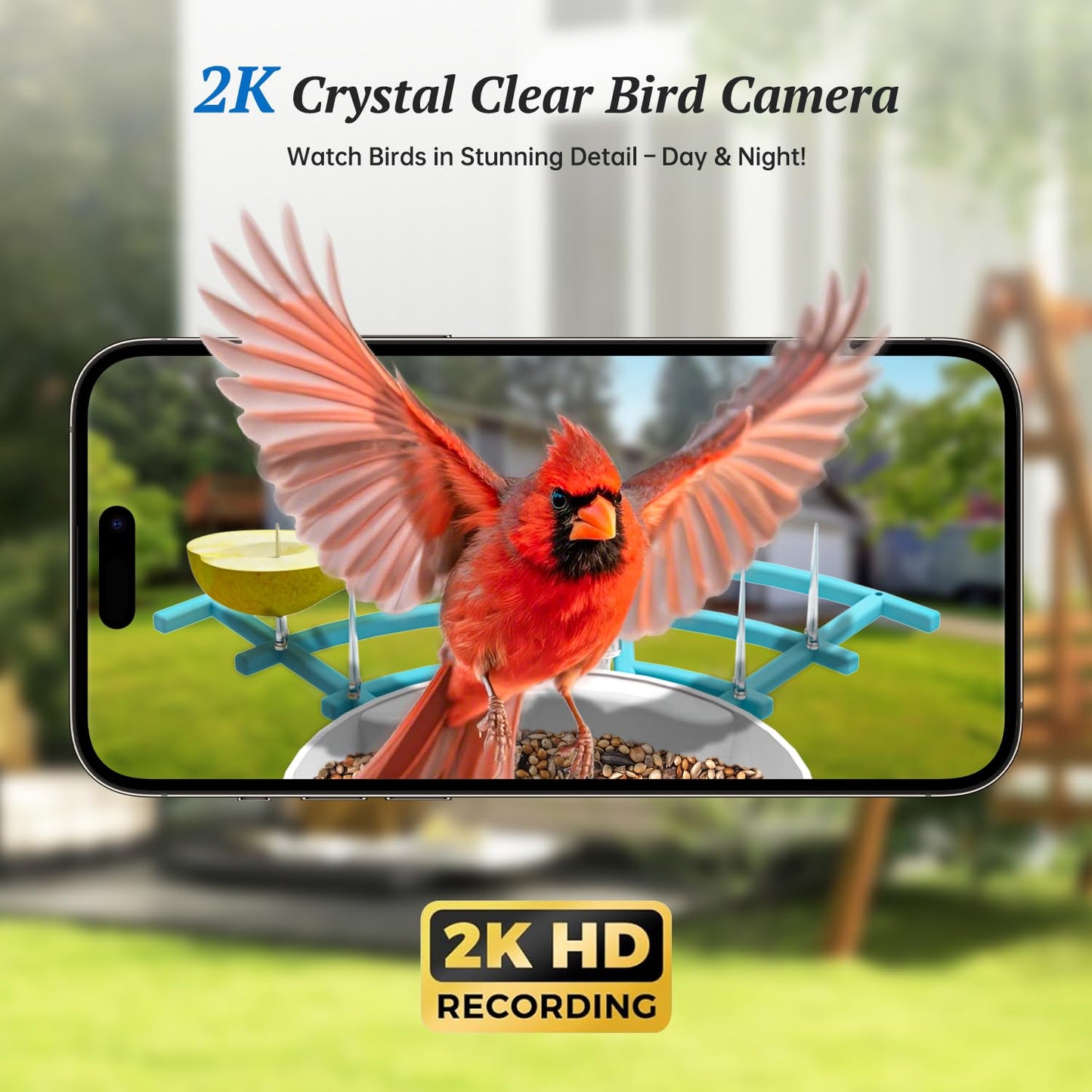 DOCOON Smart Bird Feeder with Camera, 2K HD AI Identify Birds Species, Bir d Watching Camera with Solar Panel, Auto Capture Bird Videos & Instant Notifications, Ideal Present for Bir d Lover, Blue