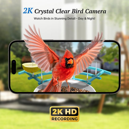 DOCOON Smart Bird Feeder with Camera, 2K HD AI Identify Birds Species, Bir d Watching Camera with Solar Panel, Auto Capture Bird Videos & Instant Notifications, Ideal Present for Bir d Lover, Blue