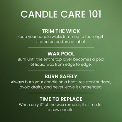 Yankee Candle 3 Wick Candle Jar, Scented Candle with up to 40 Hours of Burn Time, Premium Plant Wax Blend for Consistent Long Lasting Scent from First to Last Burn, Balsam & Cedar