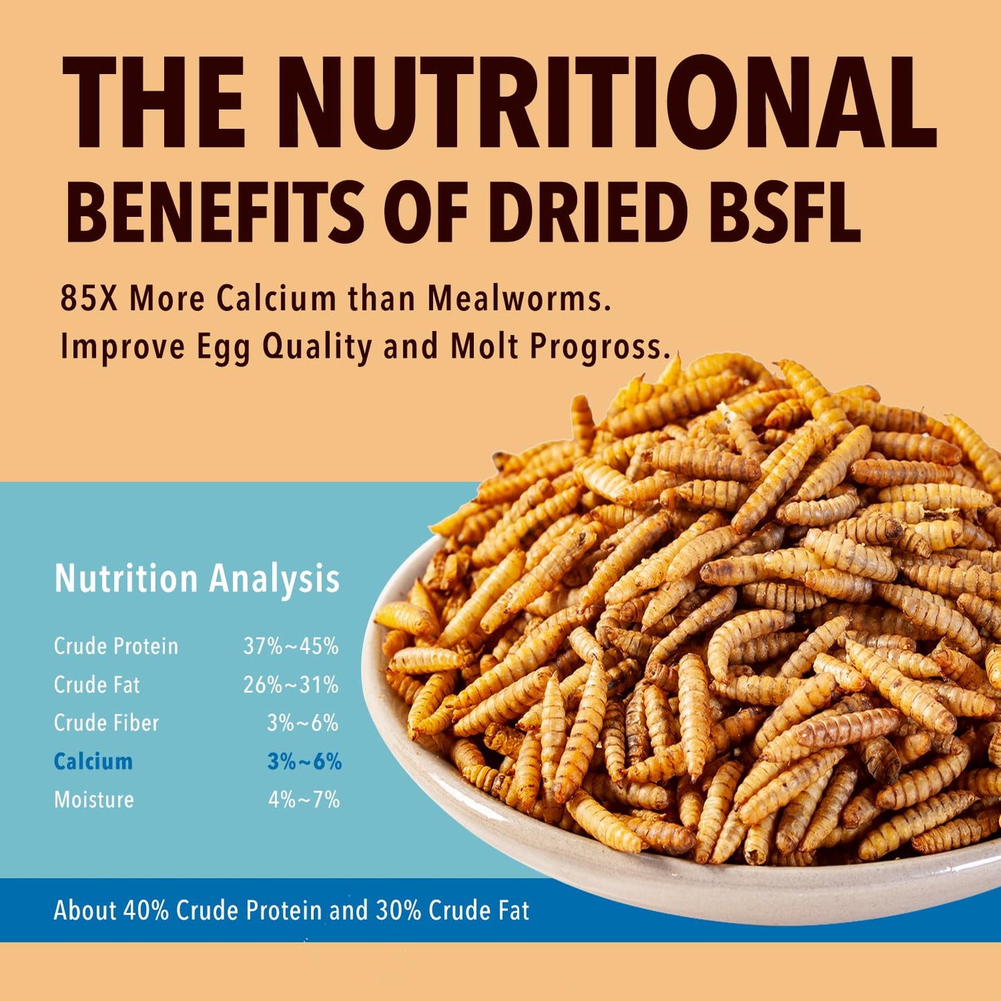 WormsFarm 11LB Dried Black Soldier Fly Larvae,Chicken Feed More Calcium Than Mealworms for Chickens,Laying Hens,Blue Birds