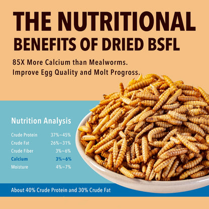 WormsFarm 11LB Dried Black Soldier Fly Larvae,Chicken Feed More Calcium Than Mealworms for Chickens,Laying Hens,Blue Birds