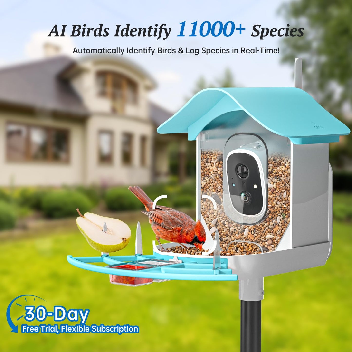 DOCOON Smart Bird Feeder with Camera, 2K HD AI Identify Birds Species, Bir d Watching Camera with Solar Panel, Auto Capture Bird Videos & Instant Notifications, Ideal Present for Bir d Lover, Blue