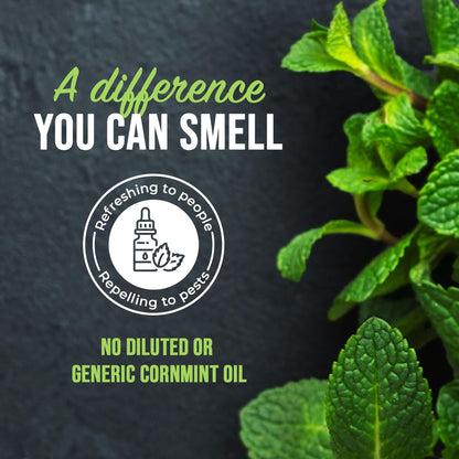 Mighty Mint Peppermint Oil Insect Repellent Spray – Indoor & Outdoor Bug Control for Spiders, Ants, Roaches, and More – Plant-Based, Extra-Strong Formula - 16 oz