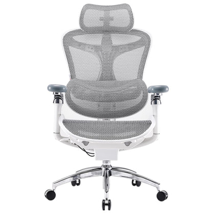 SIHOO Doro C300 Pro Ergonomic Office Chair with Ultra-Soft 6D Armrests, Dynamic Lumbar Support, Seat Depth Adjustment, Adjustable Backrest, Big and Tall Desk Chair for Home Office (Grey)