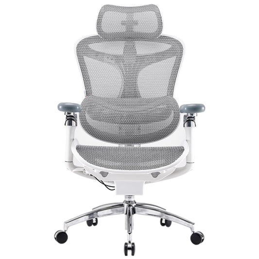 SIHOO Doro C300 Pro Ergonomic Office Chair with Ultra-Soft 6D Armrests, Dynamic Lumbar Support, Seat Depth Adjustment, Adjustable Backrest, Big and Tall Desk Chair for Home Office (Grey)