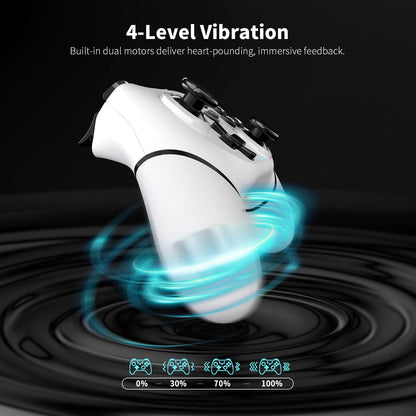 AceGamer Wireless Pro Controller for Nintendo Switch/Lite/OLED/Switch 2/PC, 2 pack, Dual Vibration/Turbo/Ergonomic ! (Black&White)