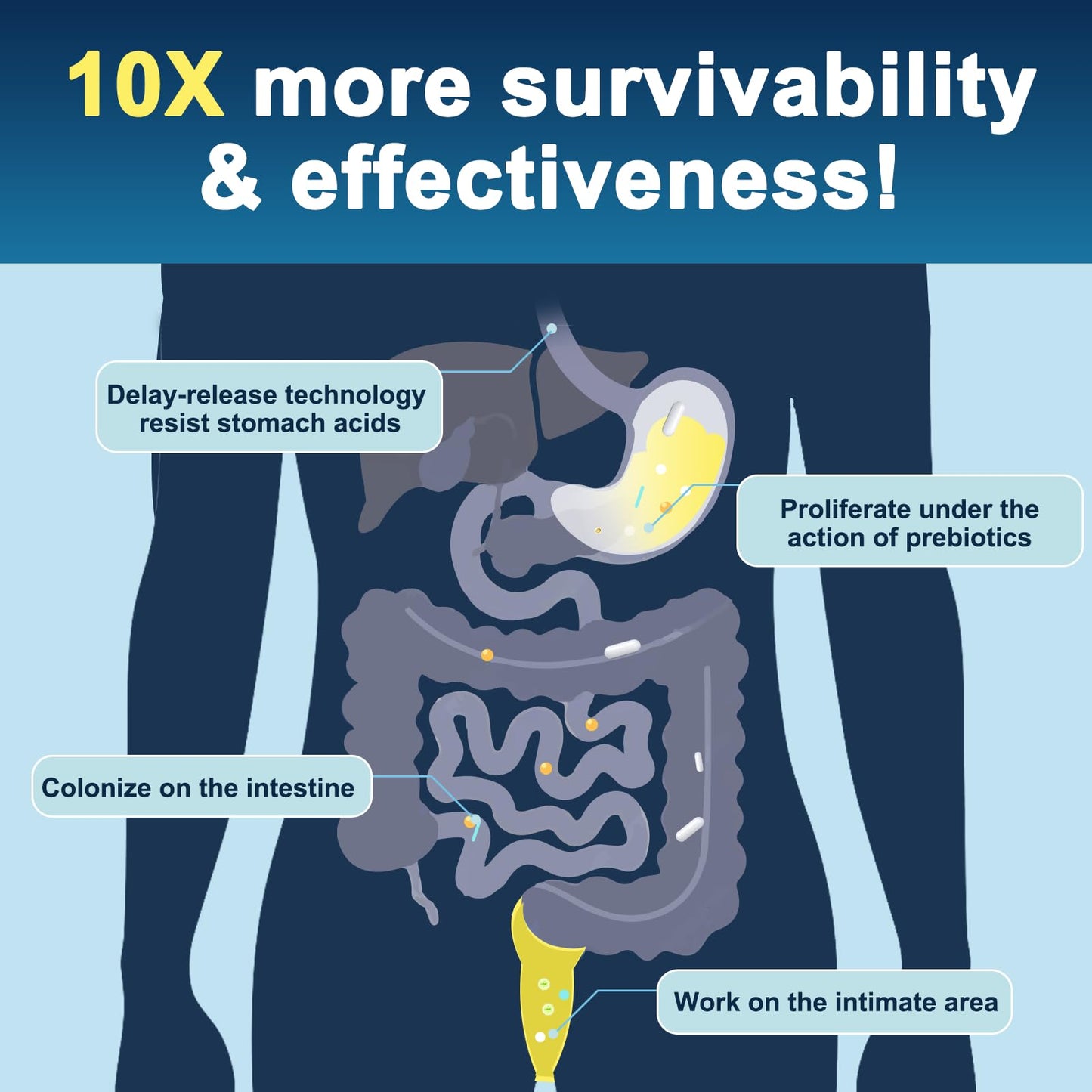 Probiotics for Men Digestive Health, 120 Billion CFUs Mens Probiotic with Digestive Enzymes & Prebiotics & Saw Palmetto & Cranberry for Gut, Prostate & Urinary Tract Health, Shelf Stable, 90 Capsules