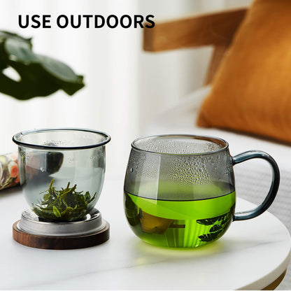 Unbreakable Glass Tea Cup with Infuser and Lid - 17oz Tea Mug for Loose Leaf Tea, Infusion Mug with Glass Filter and Wood Lid