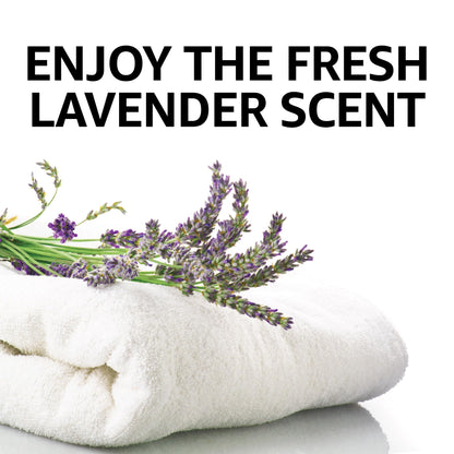 Amazon Basics Concentrated Liquid Laundry Detergent, Lavender, 110 loads, 82.5 Fl Oz (Previously Solimo)