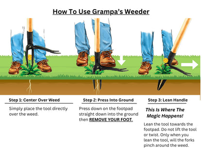 Grampa's Weeder - The Original Stand Up Weed Puller Tool with Long Handle - Made with Real Bamboo & 4-Claw Steel Head Design - Easily Remove Weeds Without Bending, Pulling, or Kneeling.