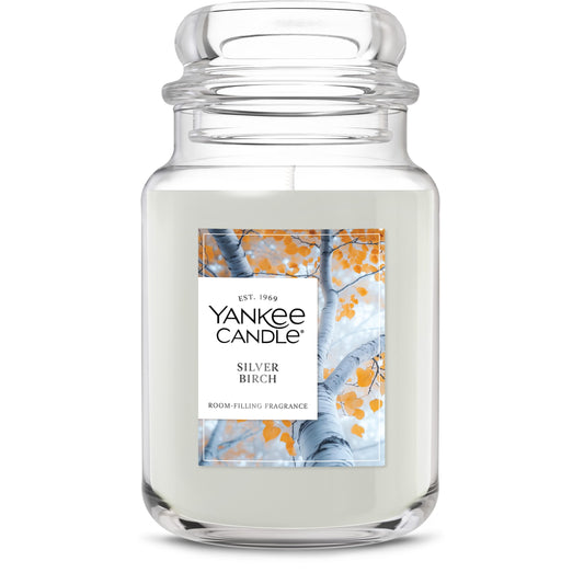 Yankee Candle Large Jar Scented Candle with up to 150 Hour Burn Time, Premium Plant Wax Blend for Consistent Burn, 22 oz Jar Candle with Room Filling Fragrance, Silver Birch