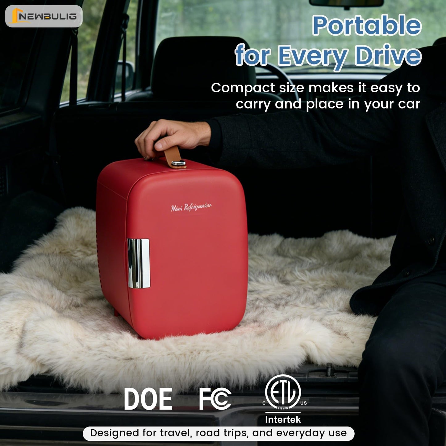 NEWBULIG Mini Fridge for Bedroom, Office & Car, Portable 4L/4.23QT Mini Refrigerator for Skincare with Handle, Ultra-Quiet Energy-Saving Compact Cooler for Drinks, Food, Skincare & Makeup, 12V AC/DC